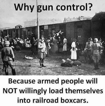 Gun Control Meme